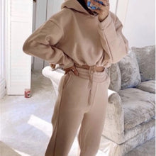 Fleece Tracksuits Women's Solid Hoodie Two Piece Set 2021 Spring Autumn Elastic Waist Sweatshirts Female Casual Sport Suit