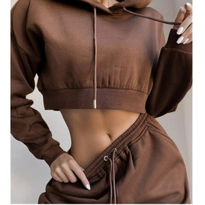 Tracksuit for Women 2 Piece Set Casual Sport Outfits Hoodies 2021 Autumn Winter